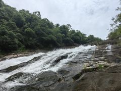 -广州白江湖森林公园