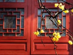 -西安大兴善寺