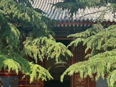 -北京动物园-畅观楼