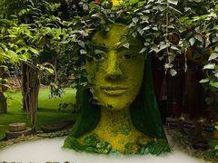 -呀路古热带植物园