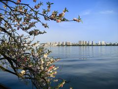 -无锡蠡湖国家湿地公园-蠡园