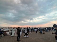 -宝安西湾红树林湿地公园