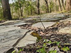 -昆山城市生态森林公园