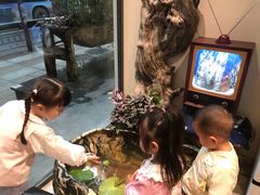 -小豆海棠(人民南路店)