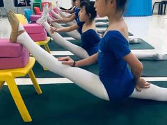 -快乐琴弦音乐舞蹈艺术教育中心(马连道校区)