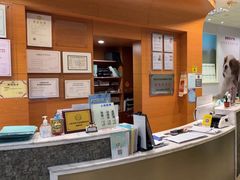 -瑞派申生动物医院·24H夜诊·国际动物医疗中心·骨外科(吴中路店)