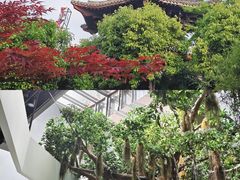 -武汉园博园(武汉自然博物馆)