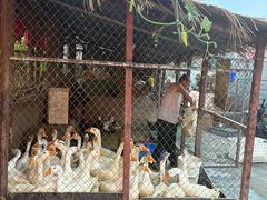 -鱼窝棚柴火铁锅炖(富山屯店)