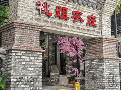 -桃姐农庄老字号(增城分店)