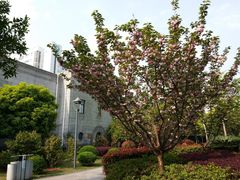 -上海长海医院·体检中心