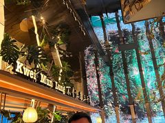 -桂满陇·海市蜃楼·黑金(国金店)