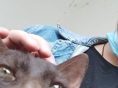 -喵屿·大理花园猫咖