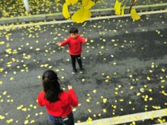 -重庆工商大学(南岸校区)