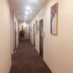 -贞禾医美·连锁