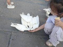 -天津妈祖文化园