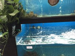 -王家渡火锅店(棕榈泉店)