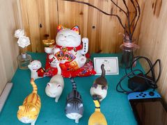 -猫在这儿猫咪咖啡馆·撸猫馆