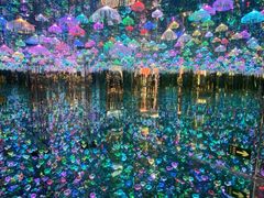 -上海梵高星空艺术馆(南京路旗舰店)