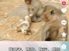 -昆明动物园