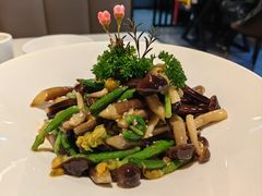 -来相会饺子·新辽菜(甘家口店)