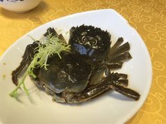 -南湖船菜大酒店