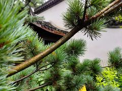 -南京市民俗博物馆(甘熙故居)