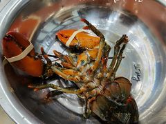 -金海湾海鲜排档(朱家尖店)