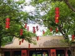-顺峰山公园