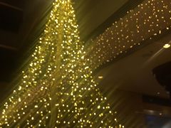 -京华世纪酒店·潮苑大酒楼(益华百货店)