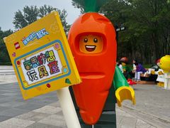 -朝阳公园游乐园