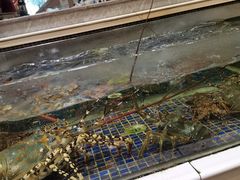 -君德澜酒家·创意粤菜(金山谷店)