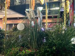 -Peet's Coffee皮爷咖啡(上海长风大悦城店)