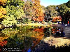 -上海共青森林公园