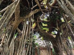 -龙达温泉生态城