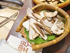 -滇野云南野生菌餐厅(陕西南路店)