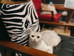 -咖法森林·咖啡  酒吧(天河店)