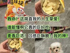 -杭州乐园