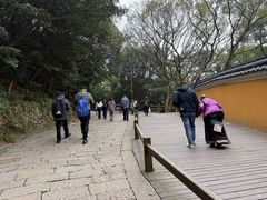 -普陀山慧济禅寺
