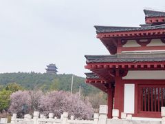 -竹林寺