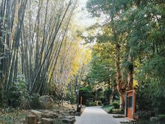 -望江楼公园