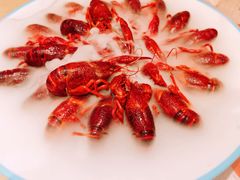 -杨氏青龙虾·羊蝎子(珠江路店)