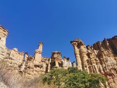 -元谋土林景区(物茂土林)