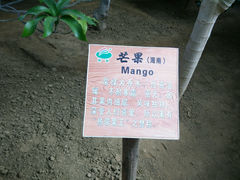 android_upload_pic-北戴河集发农业梦想王国