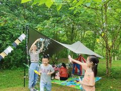 -桤木河湿地公园