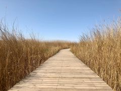 -野鸭湖国家湿地公园