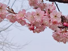 -堤角公园