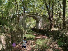 -青龙山国家森林公园