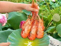 -七的湖·晚芳亭·阳澄湖农家菜·大闸蟹(莲花岛店)