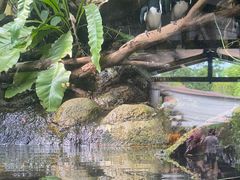 -河川生态园