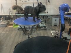 -PETKIT小佩宠物(古北店)